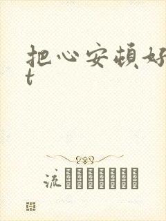 把心安顿好txt