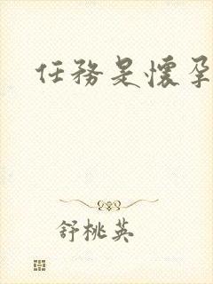 任务是怀孕系统