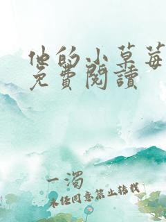 他的小草莓全文免费阅读