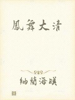 凤舞大清