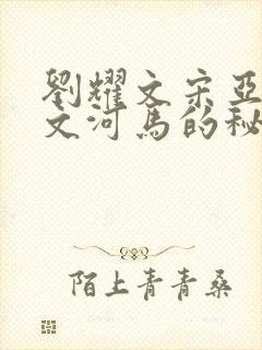 刘耀文宋亚轩车文河马的秘密河润滑油