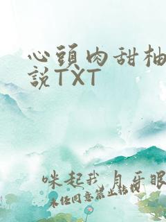 心头肉甜柚子小说TXT
