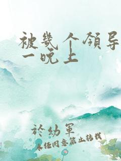 被几个领导玩弄一晚上