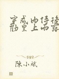 穿成内侍后总在劝皇上雨露均沾