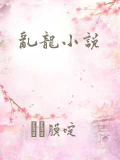 乱龙小说