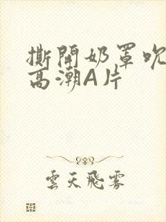 撕开奶罩吮奶头高潮A片