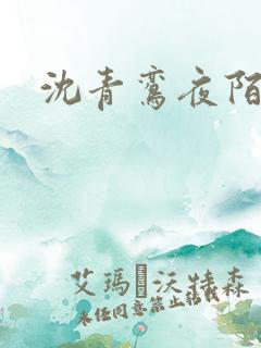 沈青鸾夜陌凌