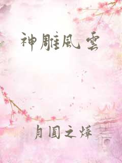 神雕风云