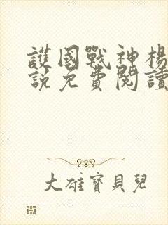 护国战神杨风小说免费阅读