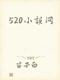 520小说网