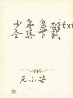 少年枭雄txt全集下载