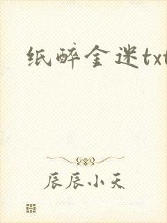 纸醉金迷txt