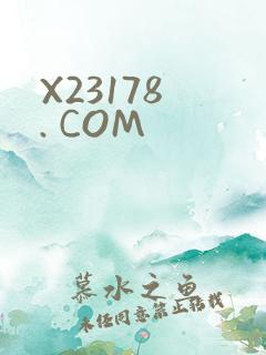 X23178 . COM
