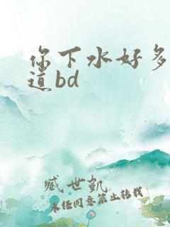 你下水好多下水道bd