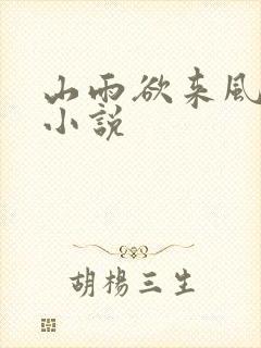 山雨欲来风满楼小说