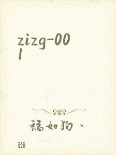 zizg-001