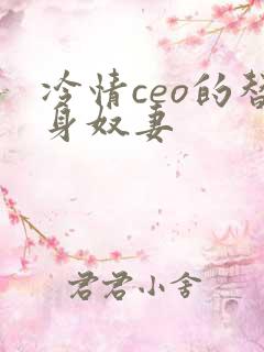 冷情ceo的替身奴妻