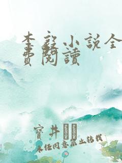 李毅小说全文免费阅读