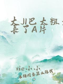 大JI巴太粗太长了A片