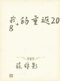 我的重返2008
