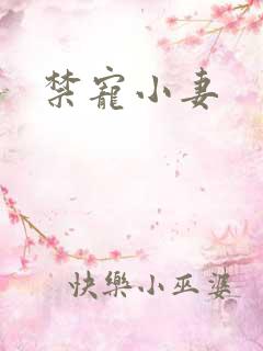 禁宠小妻