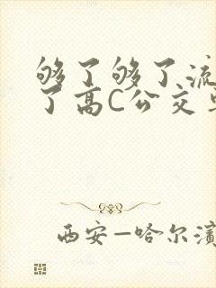 够了够了流出来了高C公交车