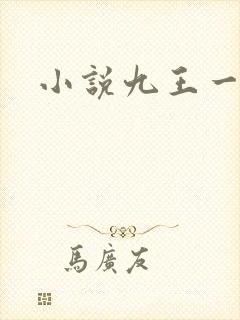 小说九王一后