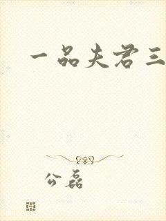 一品夫君三流妻