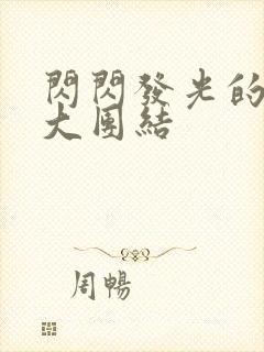 闪闪发光的小说大团结