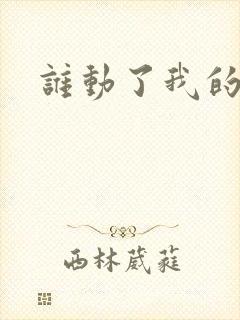 谁动了我的棺材