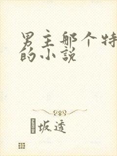 男主那个特别大的小说