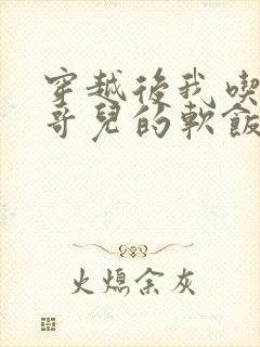 穿越后我吃到了哥儿的软饭炉山灰