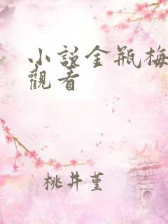 小说金瓶梅在线观看