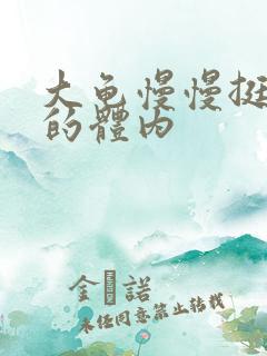 大龟慢慢挺进我的体内