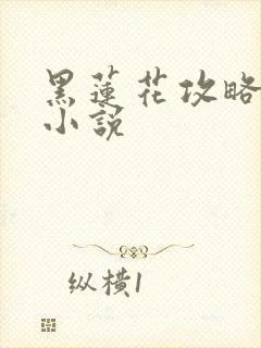 黑莲花攻略手册小说