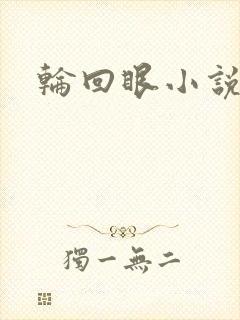 轮回眼小说