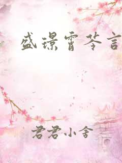 盛璟霄芩言小说