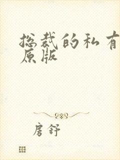 总裁的私有宝贝原版