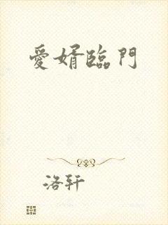 爱婿临门