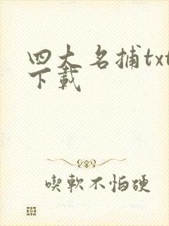 四大名捕txt下载
