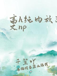 高h纯肉放荡h文np