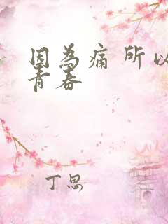 因为痛 所以叫青春