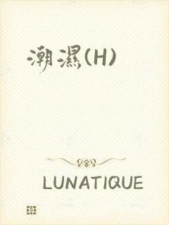 潮湿(H)