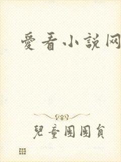爱看小说网