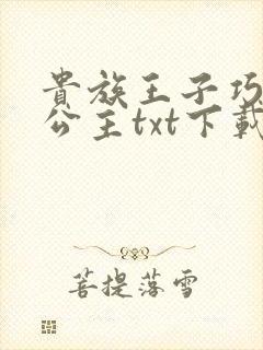 贵族王子巧遇穷公主txt下载