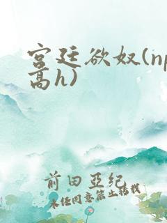 宫廷欲奴(np高h)