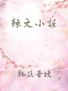 辣文小说