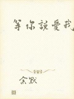 等你说爱我小说