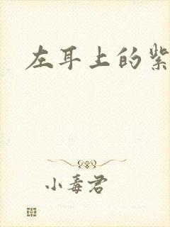 左耳上的紫水晶