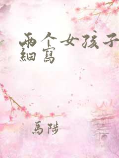 两个女孩子开车细写